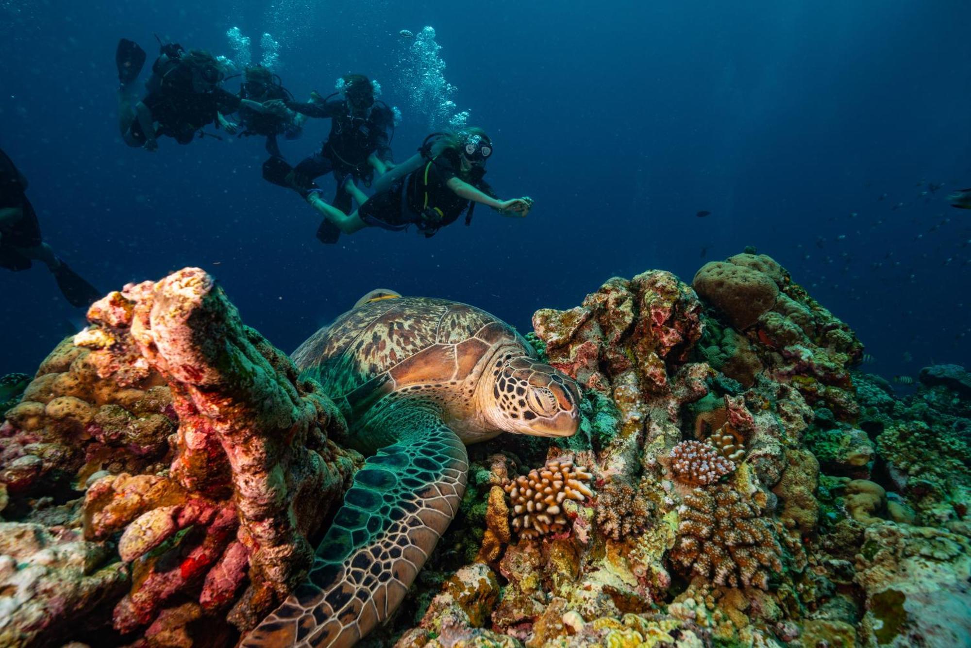 Trawangan Dive 3*