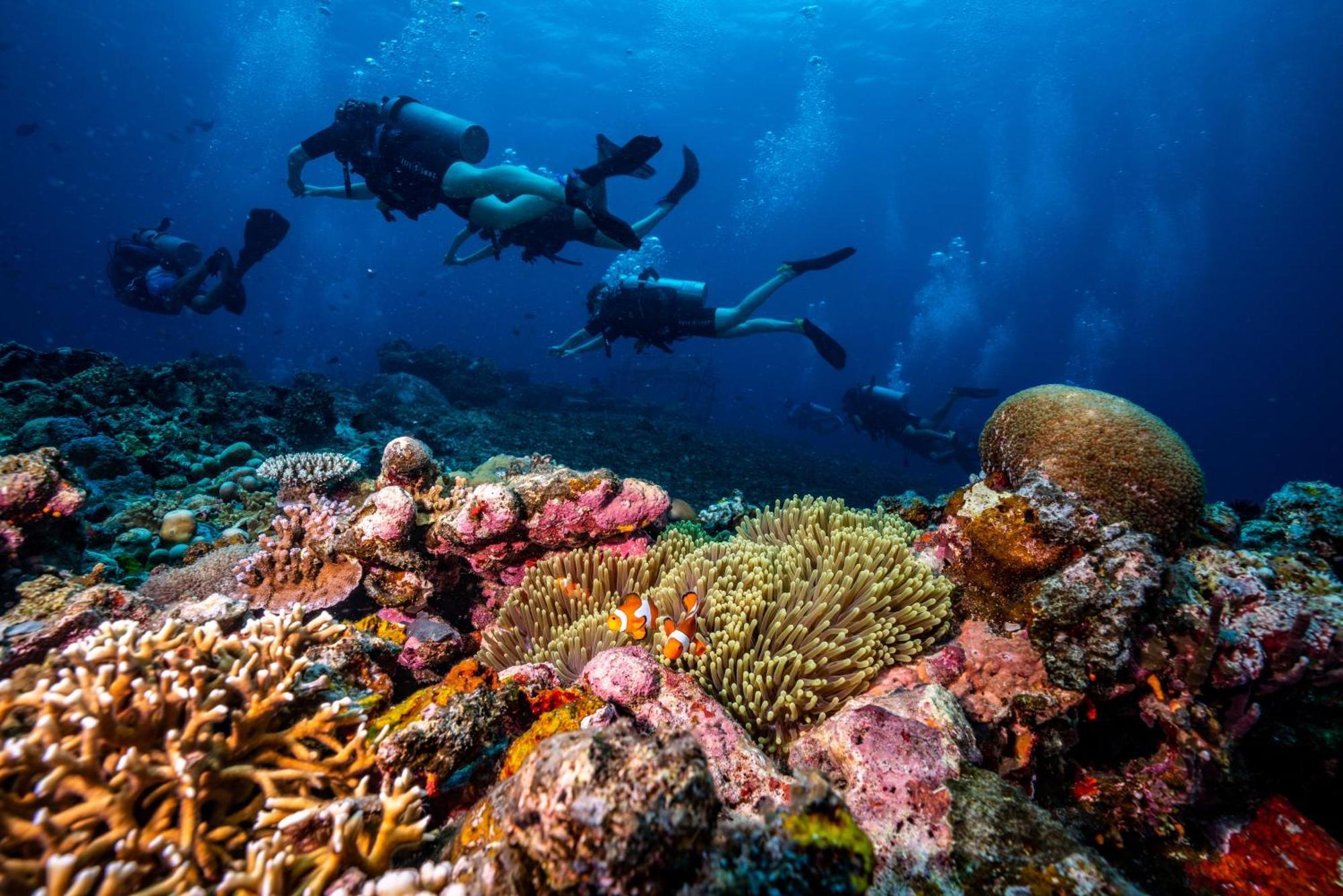 Trawangan Dive Hotel Gili Trawangan
